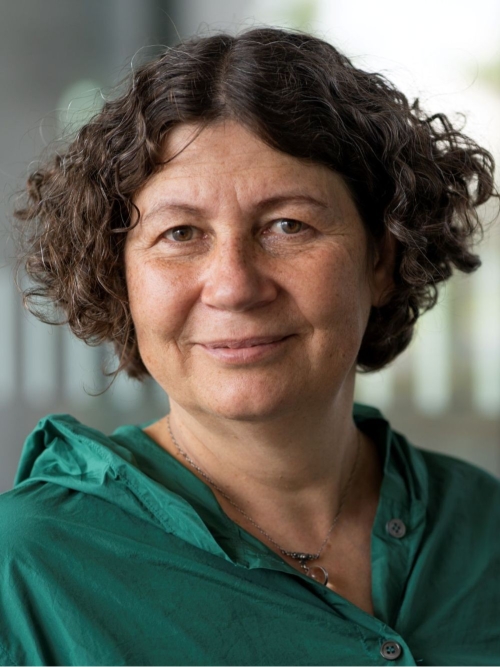 Bettina Stefanini, Präsident/in